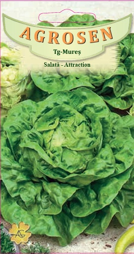 Salată - Attraction
