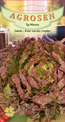 Salată - Four Seasons Wonder