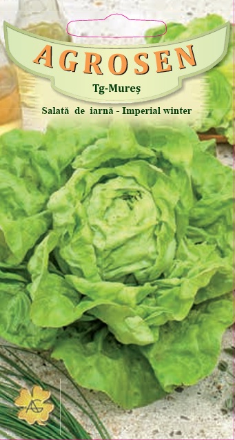 Salată de iarnă - Imperial Winter