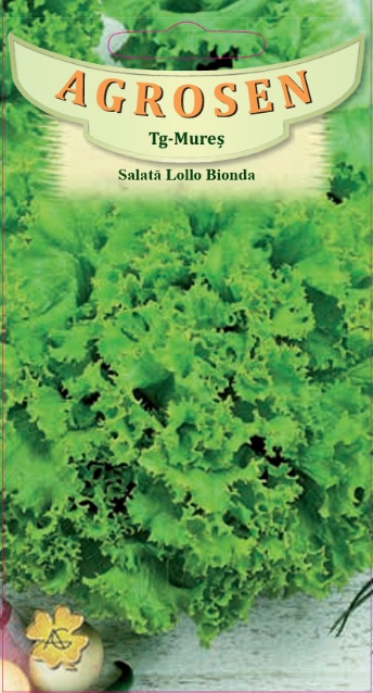 Salată creață - Lollo Bionda