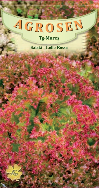 Salată creață - Lollo Rossa