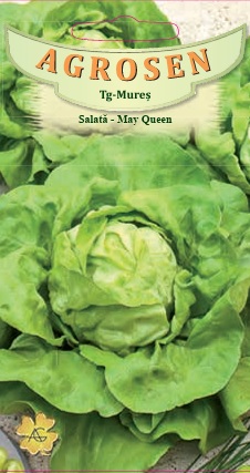 Salată - May Queen