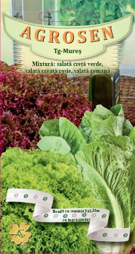 Banda-Mixtura Salata