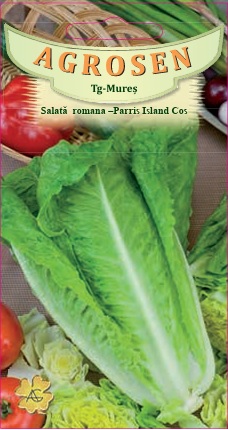 Salată romana-Parris Island Cos