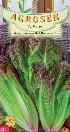 Salată romana-Red Romaine Cos
