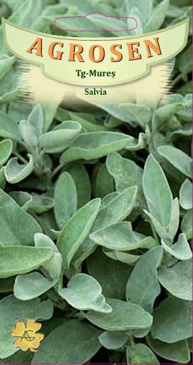 Salvia Officialis