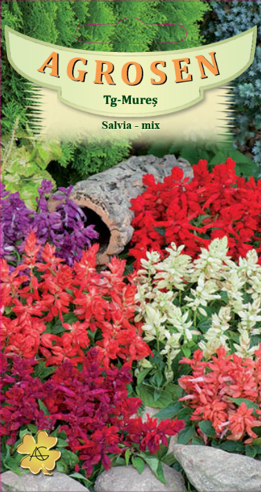 Salvia mică mix