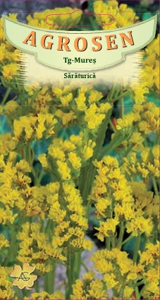 Sărăturică galbenă