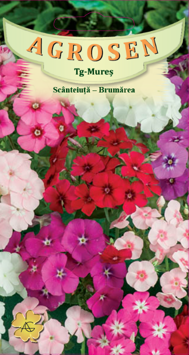 Scânteiuţă - Brumărea