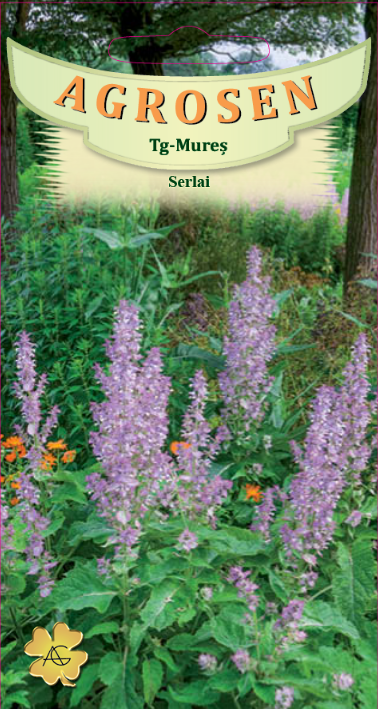 Serlai