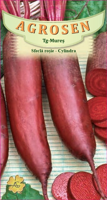Sfeclă roşie - Cylindra