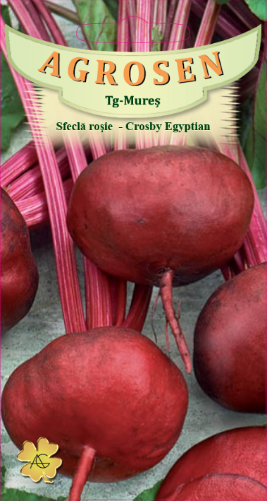 Sfeclă roșie - Crosby Egyptian