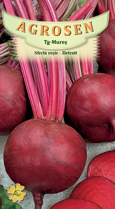 Sfeclă roşie - Detroit