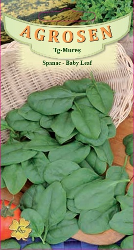 Spanac - Baby Leaf
