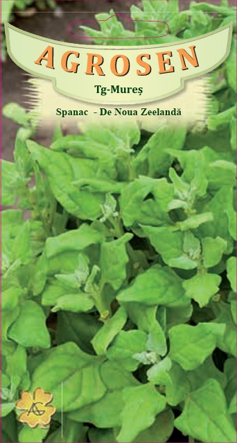 Spanac - De Noua Zeelandă