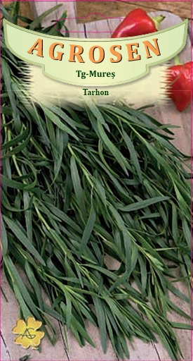 Tarhon
