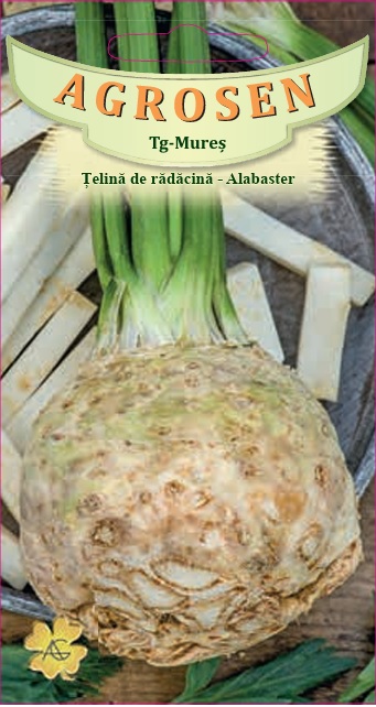 Țelină de rădăcină - Alabaster