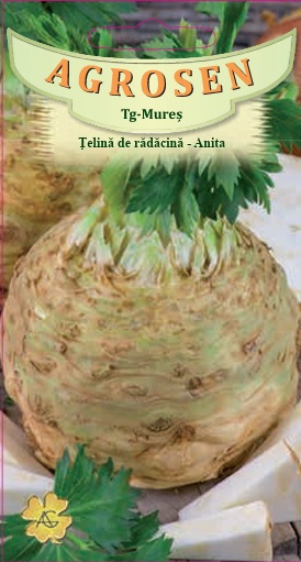 Țelină de rădăcină - Anita