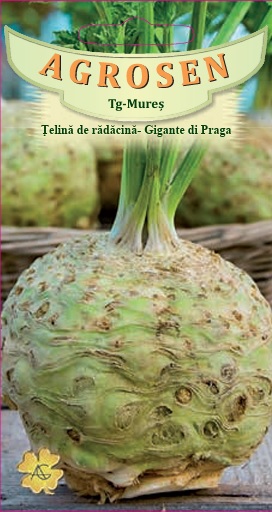 Țelină - Gigante di Praga