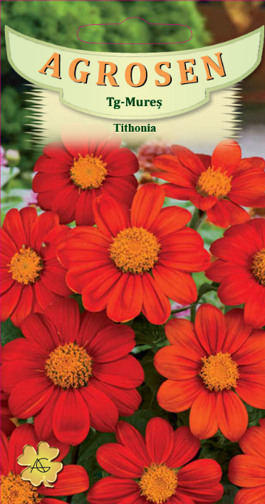 Tithonia
