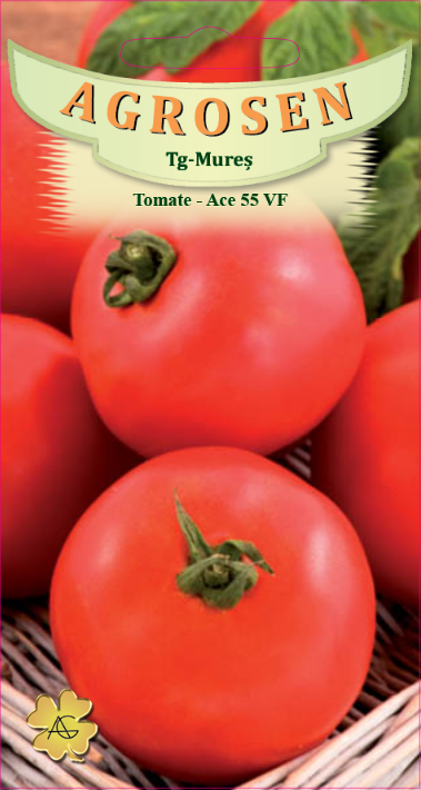 Tomate - Ace 55 VF