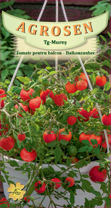 Tomate pentru balcon - Balkonzauber