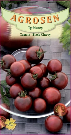 Tomate- Black Cherry