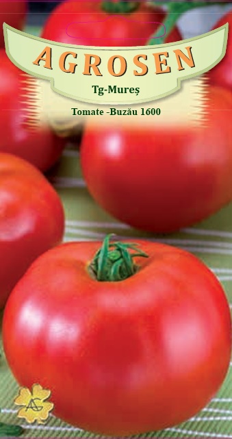 Tomate -Buzău 1600