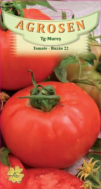 Tomate - Buzău 22
