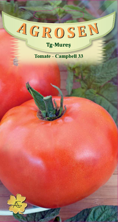 Tomate-Campbell 33