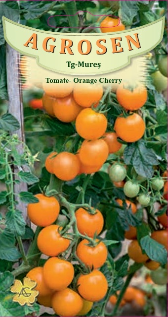 Tomate - Orange Cherry