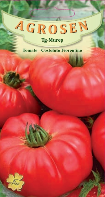 Tomate - Costoluto Fiorentino