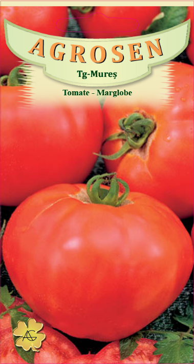 Tomate-Marglobe