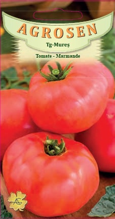 Tomate - Marmande