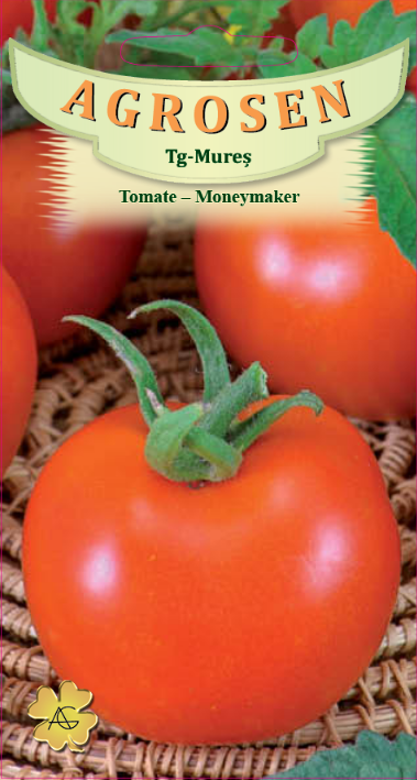 Tomate-Moneymaker