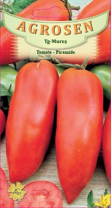Tomate - Piramide
