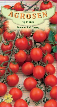 Tomate - Red Cherry