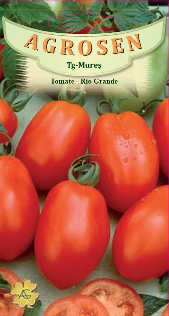 Tomate - Rio Grande