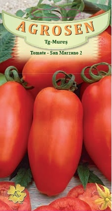 Tomate - San Marzano 2