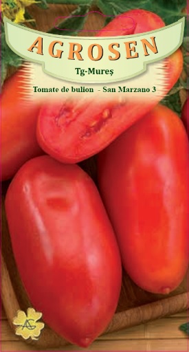 Tomate - San Marzano 3