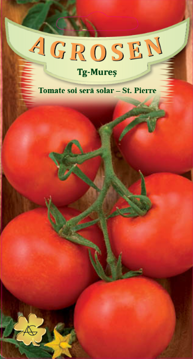 Tomate soi seră-solar - Saint Pierre