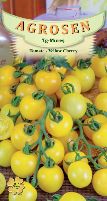 Tomate-Yellow Cherry