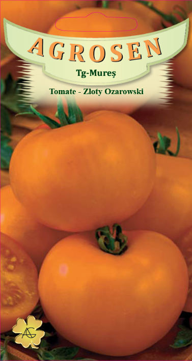 Tomate-Zloty Ozarowski