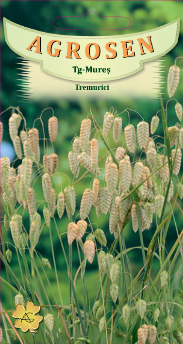 Tremurici