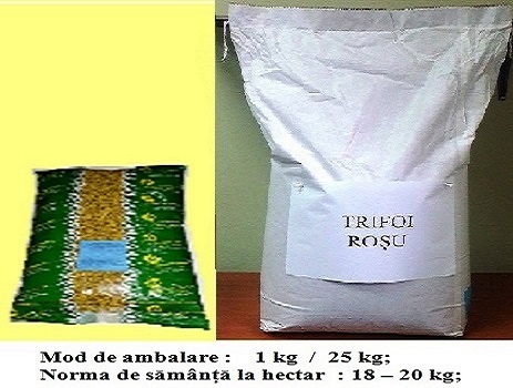 Trifoi roșu 