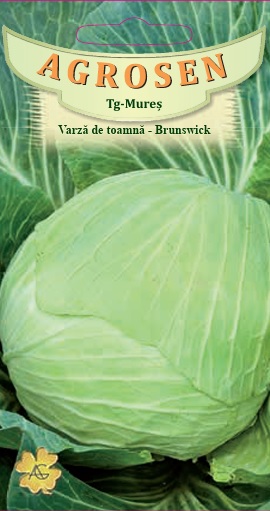 Varză de toamnă - Brunswick