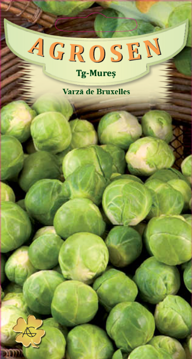Varză de Bruxelles