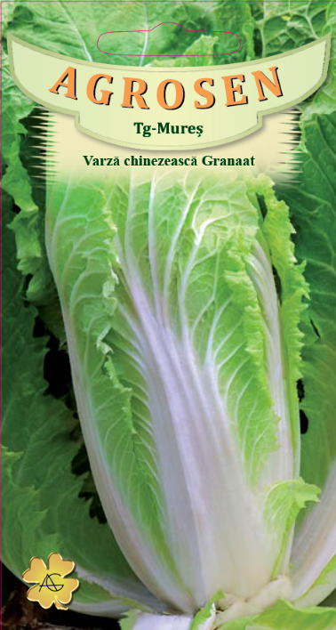 Varză chinezească - Granaat