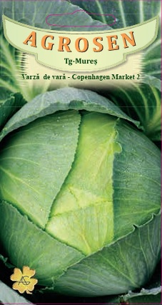 Varză de vară - Copenhagen Market 2