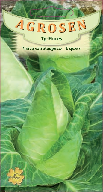 Varză extratimpurie - Express